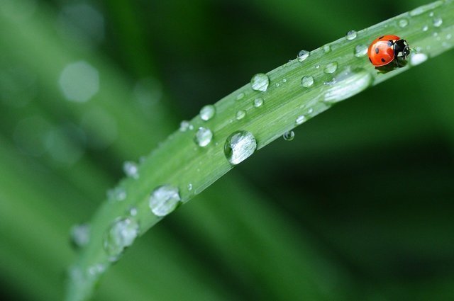 【文例34選】梅雨の季節の挨拶ってどう書く？これを見ればもう迷わない！