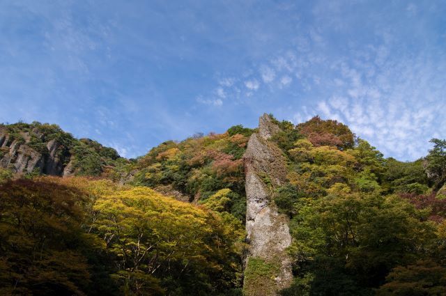 出雲大社観光 おすすめ18選！定番・穴場スポットから、体験やグルメまで