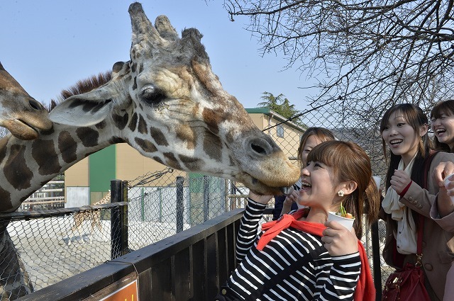 【徹底解説】姫路セントラルパークの魅力とは！サファリや遊園地から、プール、割引情報まで