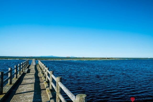 北海道 絶景スポット10選！美瑛・函館山・雲海テラスなど名所をご紹介