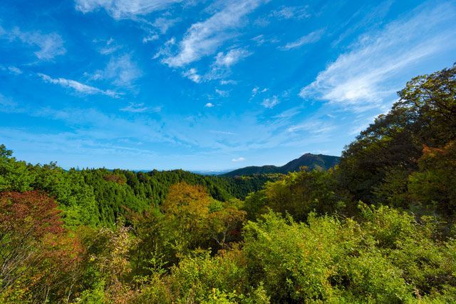 青梅 観光スポット13選！御岳山など青梅を満喫できるスポット徹底紹介