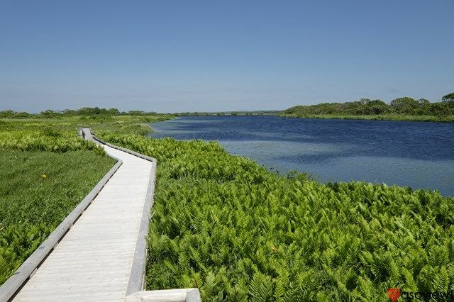 北海道 絶景スポット10選！美瑛・函館山・雲海テラスなど名所をご紹介