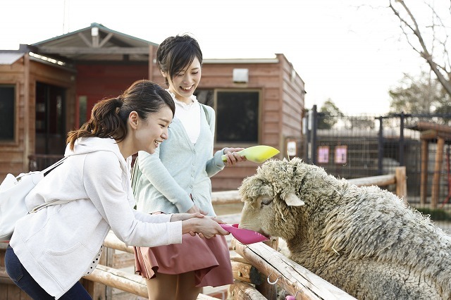 【徹底解説】姫路セントラルパークの魅力とは！サファリや遊園地から、プール、割引情報まで