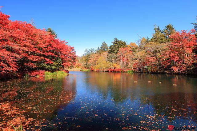 軽井沢のおすすめ観光地15選！カップルや家族との旅行を満喫しよう