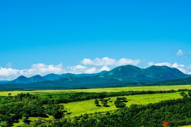 北海道 絶景スポット10選！美瑛・函館山・雲海テラスなど名所をご紹介