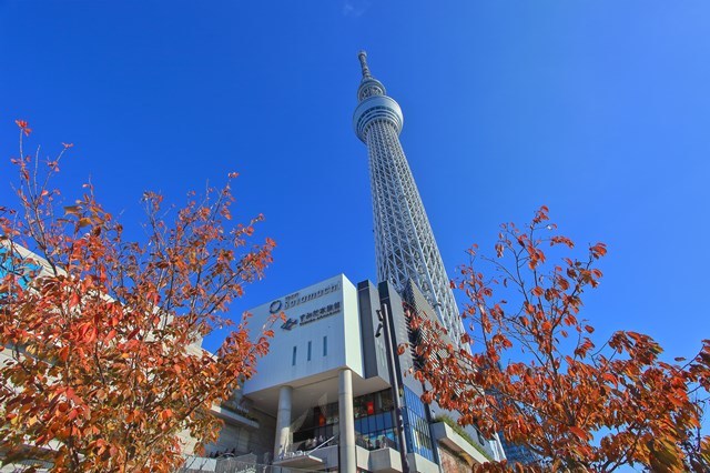 東京 観光　女子旅におすすめのスポット10選。