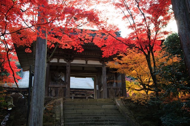 京都・嵐山の定番＆穴場観光スポット34選！世界遺産を有する嵐山の魅力をたっぷりご紹介！