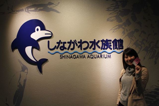 品川 水族館2館を徹底比較！アクアパークとしながわ水族館の違いは？