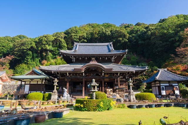 京都の神社・仏閣、おさえておきたい大定番20スポット。