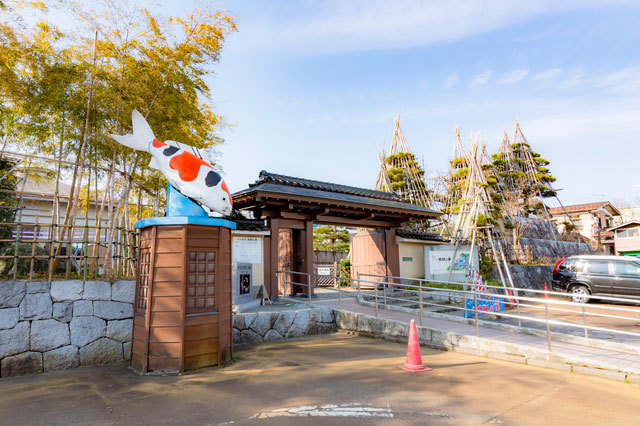 新潟県で遊びに行きたいおすすめ水族館5選！愛らしいイルカやペンギンに癒やされまくろう