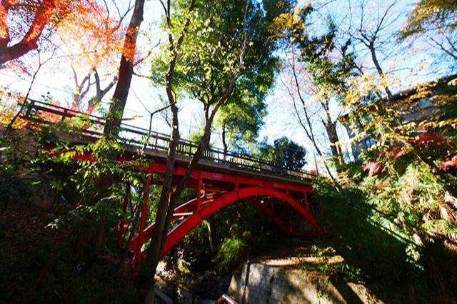東京23区で唯一の渓谷！水と緑に癒される等々力渓谷の見どころを散策しながら紹介