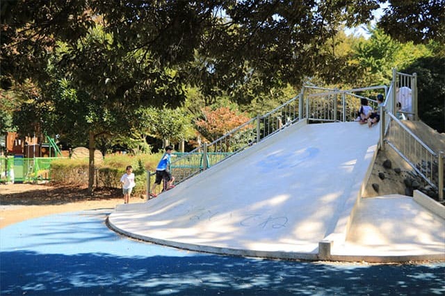 新しい発見に満ちた子どもの聖地！国営昭和記念公園の見どころを徹底レポート