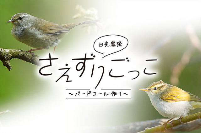 手作りバードコールで鳥と会話できる！？日光のネイチャー体験で自然の楽しさを満喫しよう