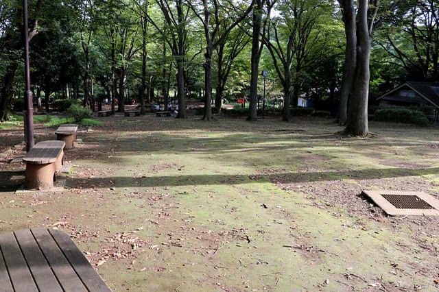 武蔵野の自然が残る石神井公園を散策！石神井池・三宝寺池の周辺見どころを紹介