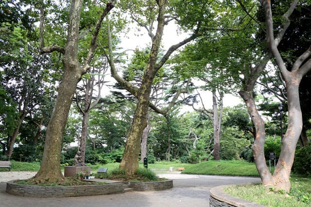 港の見える丘公園の見どころ&定番観光「西洋館巡り」を紹介