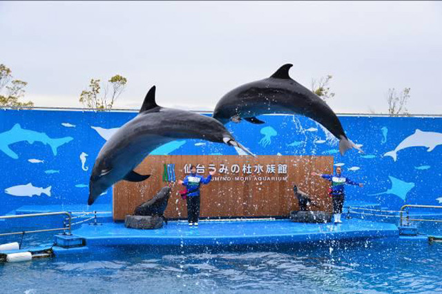 目の前に広がる海の世界は驚きと感動の連続！仙台うみの杜水族館の魅力を徹底レポ