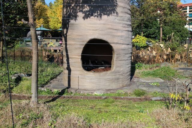 上野動物園を2時間で思いっきり満喫！時間がなくても楽しめる方法教えます