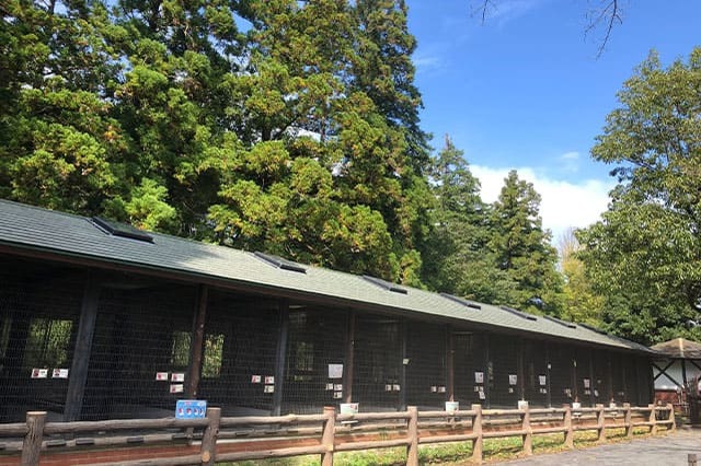 子どもの遊び場の宝庫！こども自然公園の見どころを徹底レポート