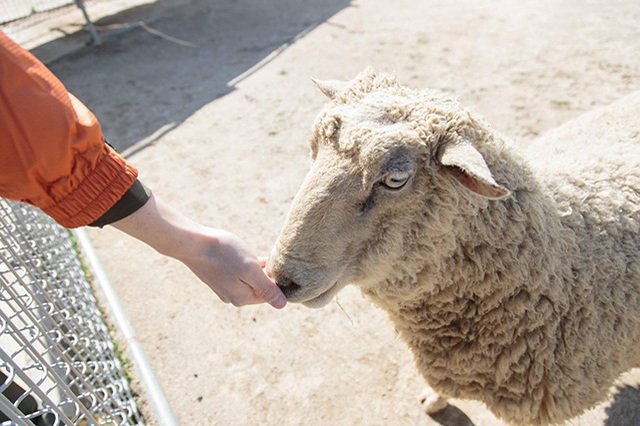 【ここでしか会えない動物たちも！】天王寺動物園でかわいい動物たちに癒される