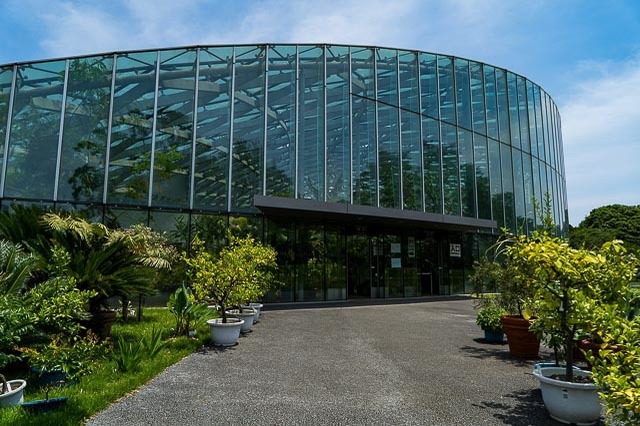 雨でも「そとへのお出かけ気分」を感じられるスポット！都内の温室植物園3選