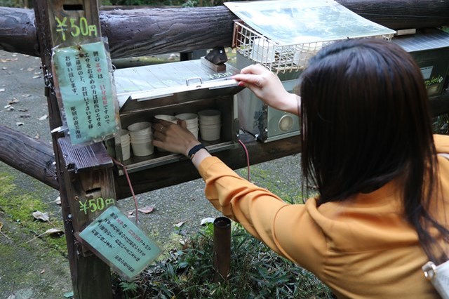 【割引あり】彫刻の森美術館の魅力を徹底解剖！インスタ映えスポットから混雑などの基本情報まで