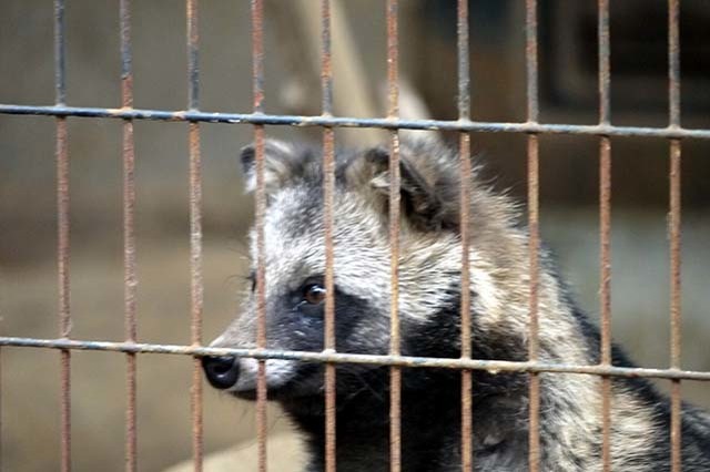 入園料無料が嬉しい！「夢見ヶ崎動物公園」の見どころやアクセス方法を徹底解説