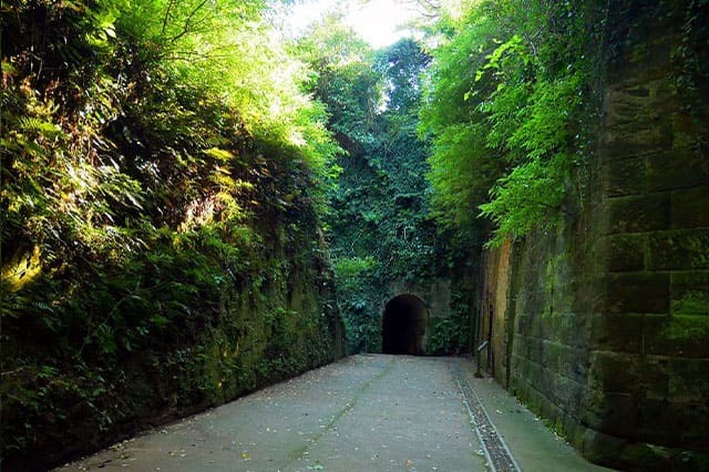 都心から日帰りで行ける無人島！「猿島」で神秘の自然と史跡巡りを堪能しよう