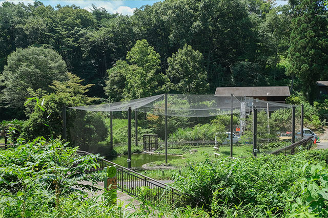 多摩動物公園で会えてよかった15種の動物たち