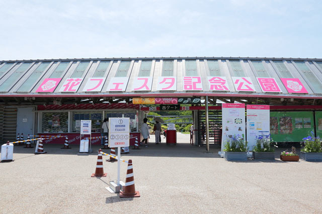 世界最大級のバラ園！花フェスタ記念公園を徹底レポート