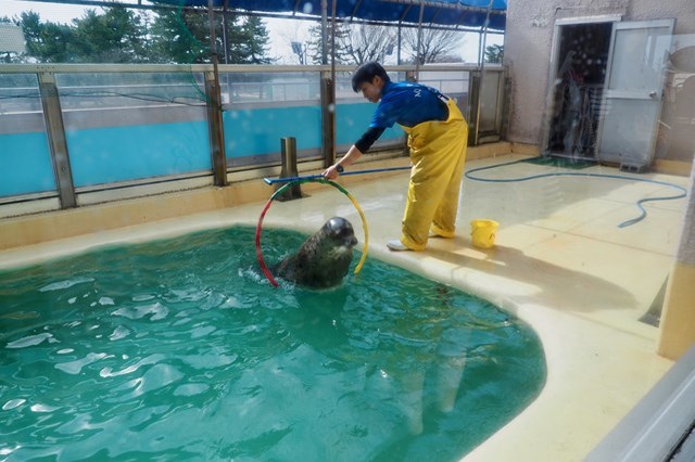 【徹底取材】日本最古の水族館、魚津水族館を100倍楽しむためのガイド！