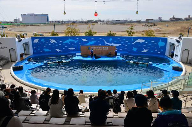 目の前に広がる海の世界は驚きと感動の連続！仙台うみの杜水族館の魅力を徹底レポ