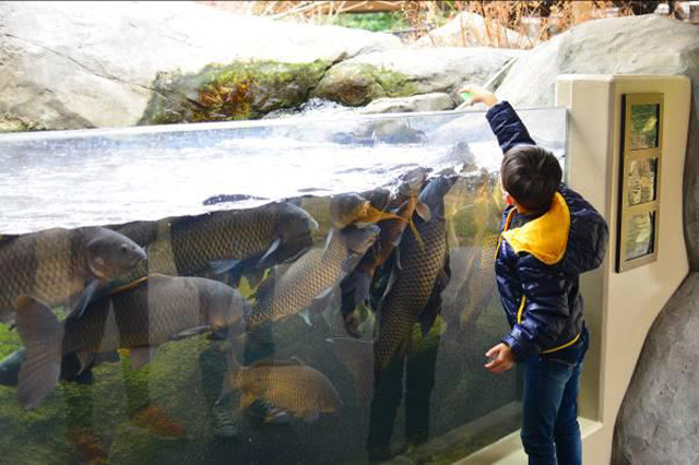 目の前に広がる海の世界は驚きと感動の連続！仙台うみの杜水族館の魅力を徹底レポ