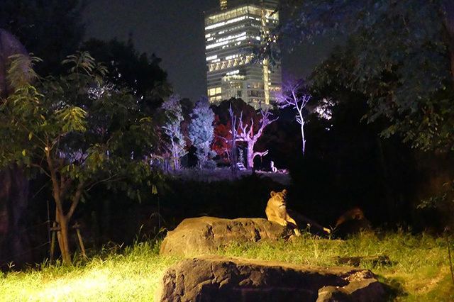 【ここでしか会えない動物たちも！】天王寺動物園でかわいい動物たちに癒される