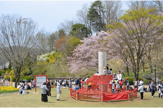 世界最大級のバラ園！花フェスタ記念公園を徹底レポート