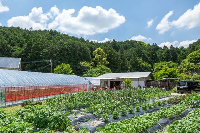 土づくり・収穫・調理までぜーんぶ体験！福岡の博多南自然体験ファームでもっと野菜が好きになる