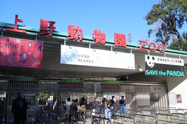 上野動物園を2時間で思いっきり満喫！時間がなくても楽しめる方法教えます