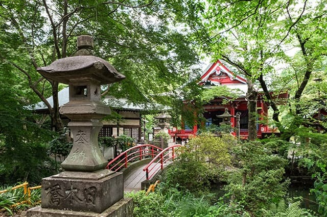 井の頭恩賜公園をぐるり一周散歩！歩いて見つけた注目スポットをご紹介