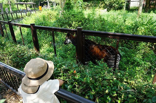 ここでしか見られない希少動物の宝庫！ 横浜「金沢動物園」を徹底解説