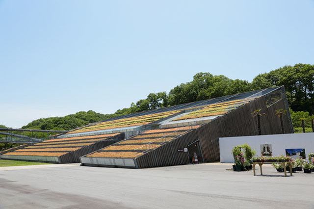 世界最大級のバラ園！花フェスタ記念公園を徹底レポート