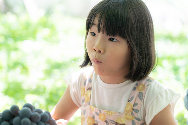 ぶどうが食べ放題でジュースまでつくれる！今まで味わったことがないおいしさに出会えて親子でビックリしてきました【あそびチャレンジ#08 ぶどう狩り編】