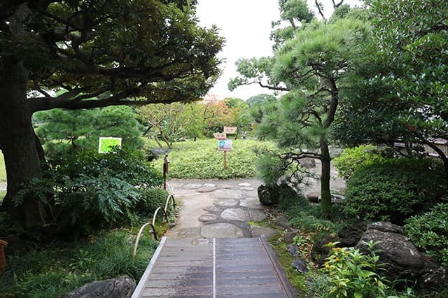 清澄庭園を楽しみ尽くす完全ガイド！美しい庭園を回りながら見どころを紹介