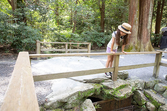 “お伊勢参り”と、自然が織りなす絶景。文化＆食を通して「伊勢志摩国立公園」の魅力を満喫！