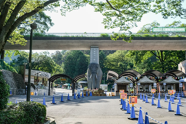 多摩動物公園で会えてよかった15種の動物たち