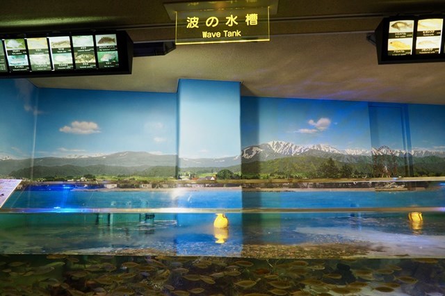 【徹底取材】日本最古の水族館、魚津水族館を100倍楽しむためのガイド！