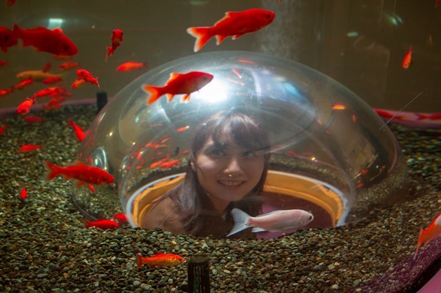 【徹底取材】さいたま水族館の魅力解説！ アクセスから周辺の観光地情報まで