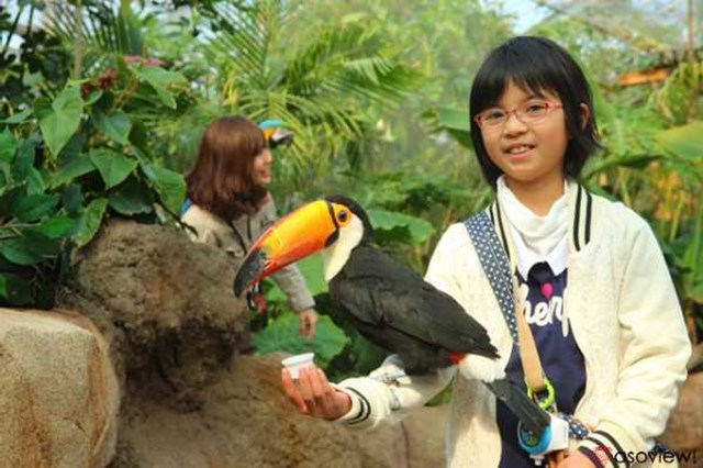 【割引あり】神戸どうぶつ王国の魅力を徹底解剖！ショーから触れ合い、花の情報など楽しむガイド