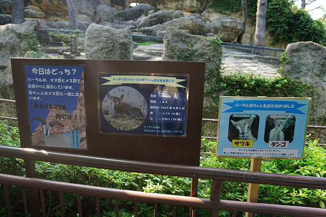 ここでしか見られない希少動物の宝庫！ 横浜「金沢動物園」を徹底解説