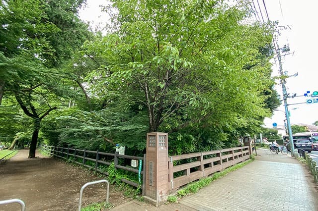 井の頭恩賜公園をぐるり一周散歩！歩いて見つけた注目スポットをご紹介