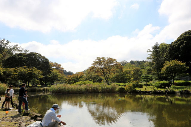 子どもの遊び場の宝庫！こども自然公園の見どころを徹底レポート