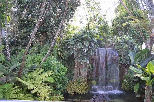 雨でも「そとへのお出かけ気分」を感じられるスポット！都内の温室植物園3選